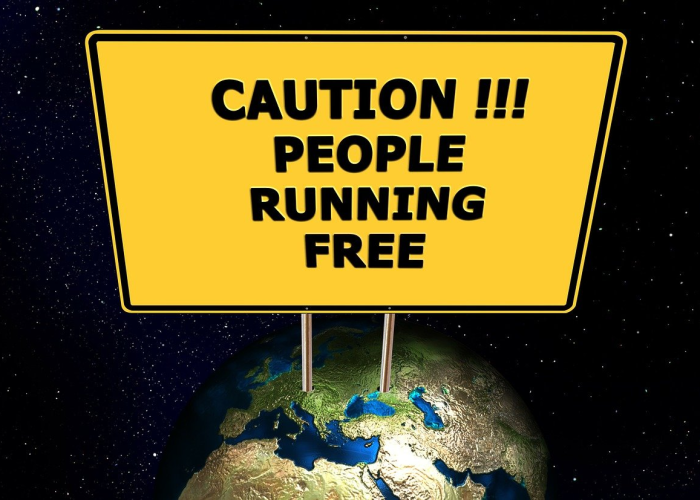 30万欠薪与4000万日单：奔跑的兔子与失速的齿轮，疫情下的物流迷踪