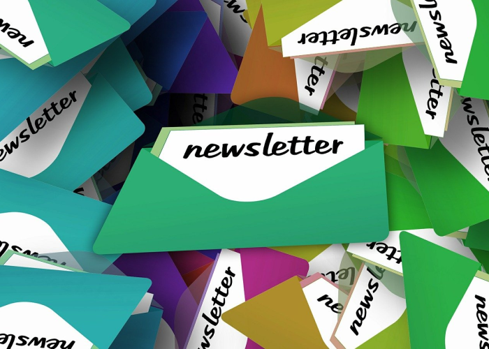 好奇金装和银装的区别，好奇金装和银装的区别图片