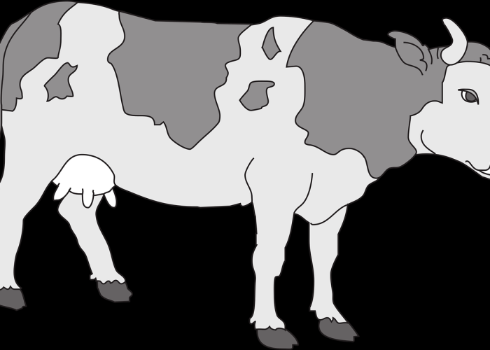 张家界疫情源头最新消息(张家界疫情源头)