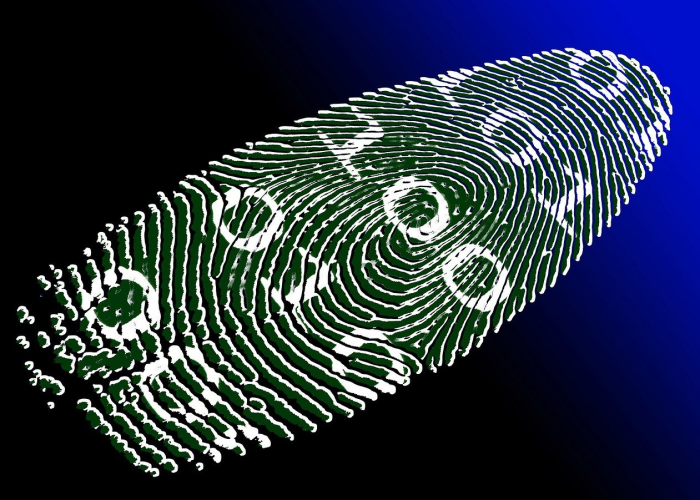 武汉一龙门吊倒塌砸中汽车，官方通报