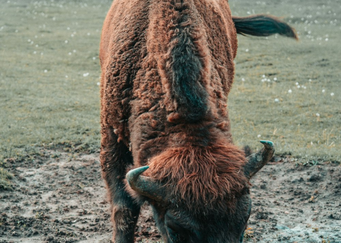 🌊 内蒙古新增境外输入5例,内蒙古新增4例境外输入病例