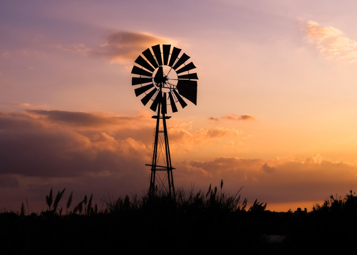 “大空头”伯里警告：Palantir股价或将暴跌60%