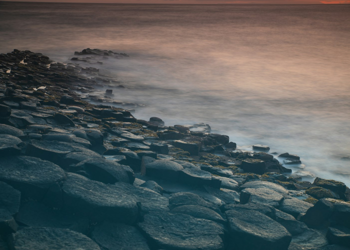 💧 四川新增1例本土确诊病例四川新增1例本土病例情况