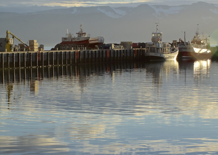 保定封城保定封城什么疫情病毒