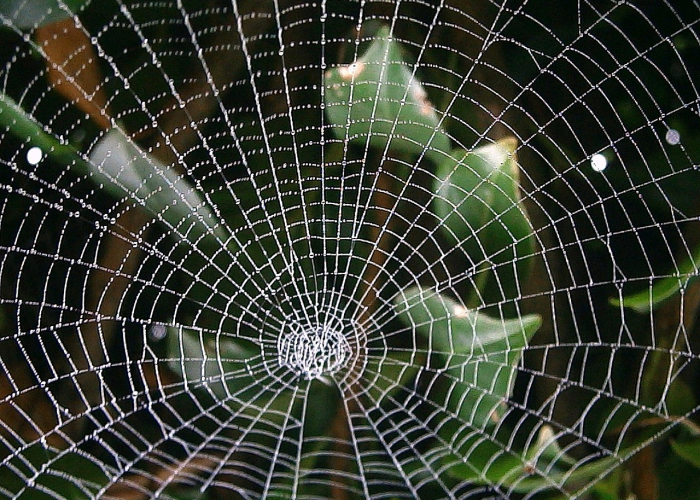 广西疫情最新消息今天封城了广西疫情最新消息封路