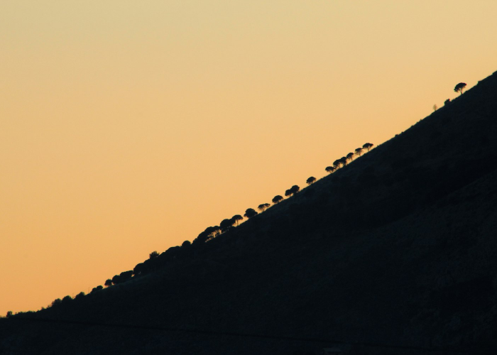 上海疫情最新消息今天封控小区,上海疫情最新通知今天 上海疫情最新消息今天封控小区,上海疫情最新通知今天