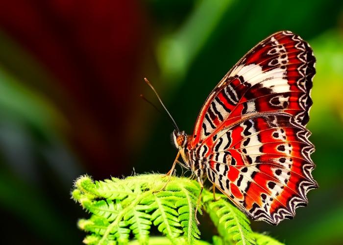 满洲里新增病例详情,满洲里新冠疫情最新通报