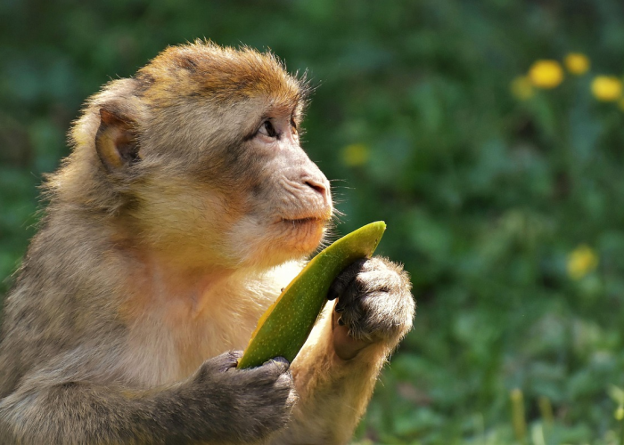 北京限号2021年3月最新限号：北京限号2021年限号范围