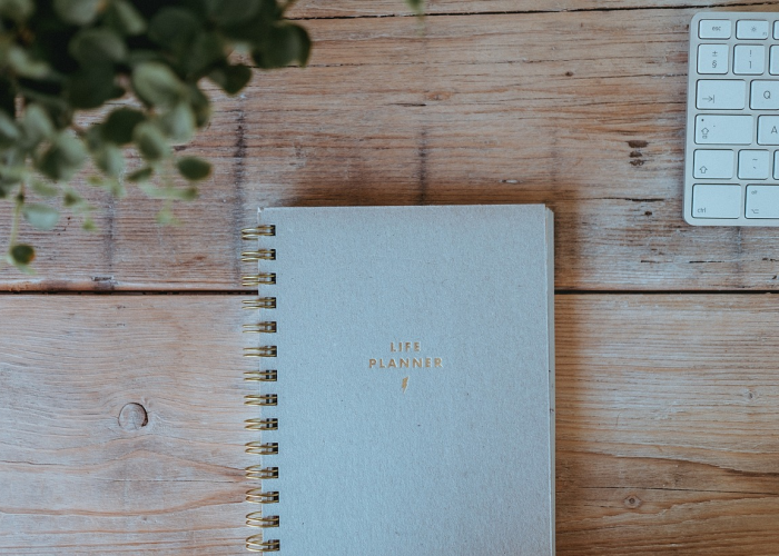 【脸上长痤疮了怎么办,脸上长了痤疮怎么调理】