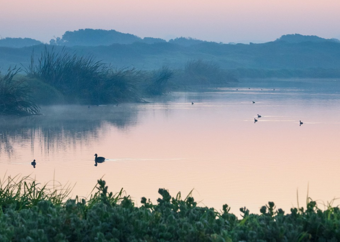 31省新增本土确诊108例31省新增确诊14例本土9例