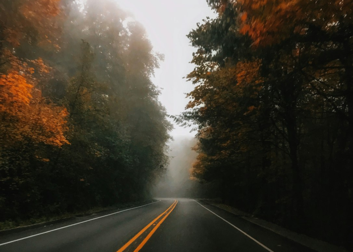 重庆市疫情最新消息重庆市新冠肺炎疫情最新情况 ✨