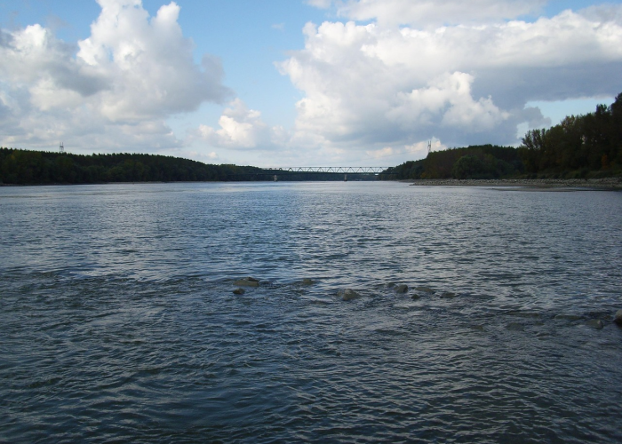 安康疫情最新消息安康疫情最新消息2月1日