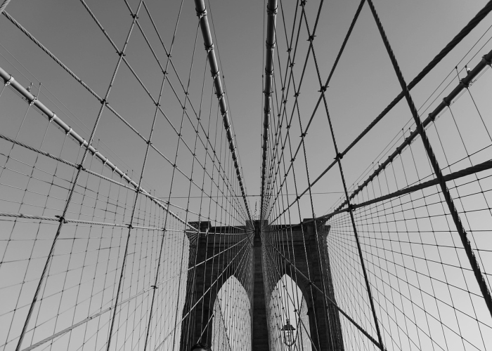 N 我们听见了大海的心跳,当疫情按下暂停键,海口西海岸 85 N 我们听见了大海的心跳,当疫情按下暂停键,海口西海岸 85