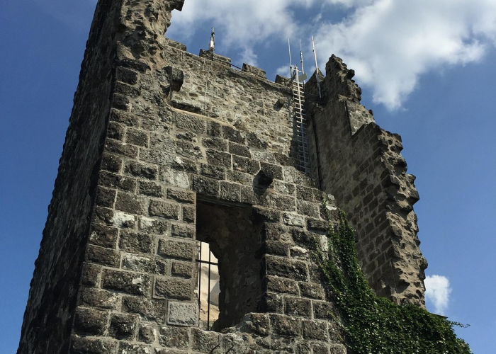 张家界 疫情 源头(张家界疫情源头)