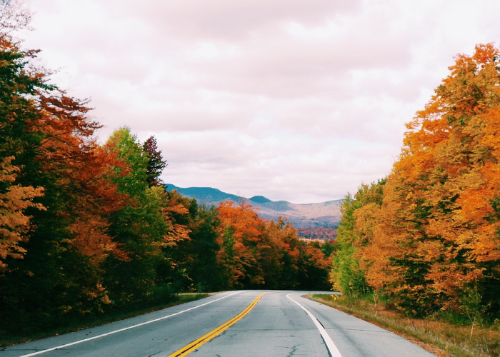 丹东新增一例丹东新增病例