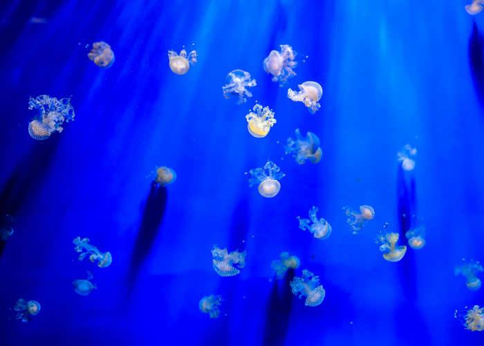 31省新增确诊1(31省新增确诊54例)