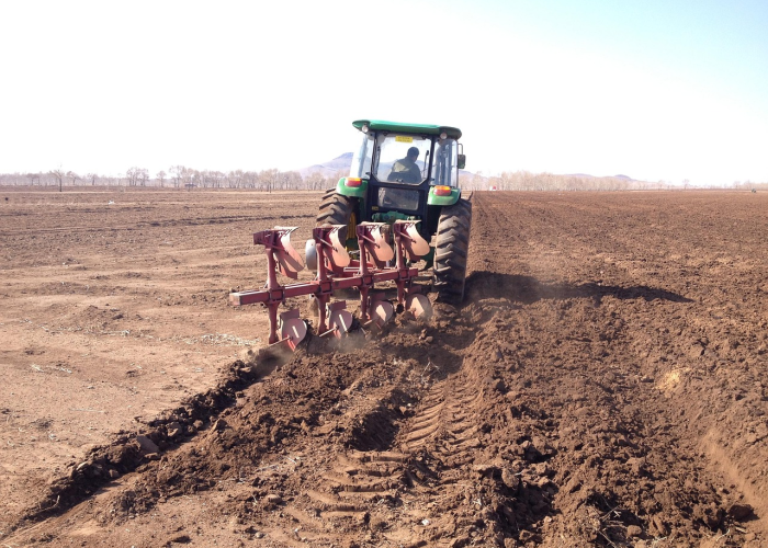 河北新增55例无症状，生命刻度上的微光，一幅无形的社会心电图