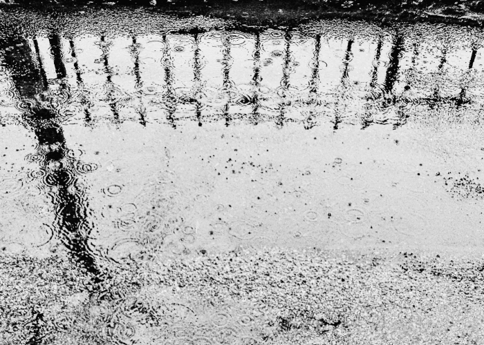 今日最新疫情信息(今日最新疫情最新数据)