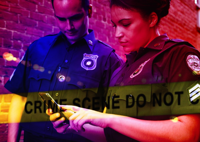 12例新增阳性与流感高峰叠加，冬日里的微光，城市免疫系统的静默试炼