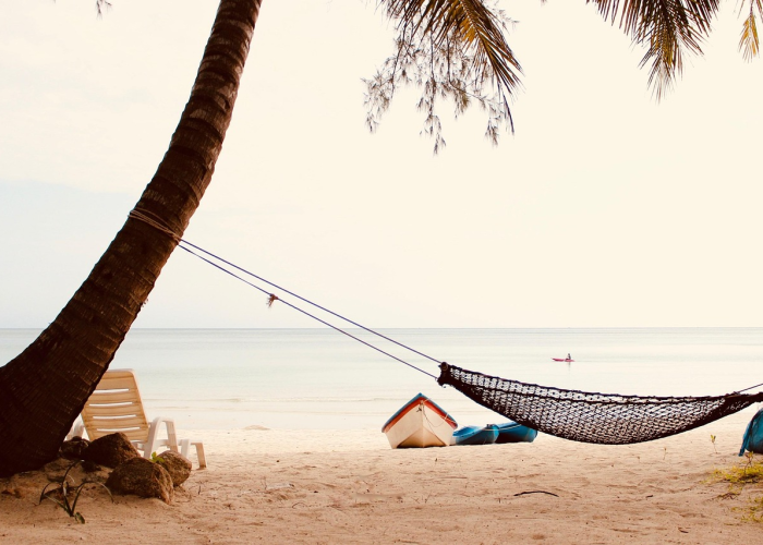 专家呼吁给上海一点宽容和理解的句子(专家呼吁给上海一点宽容和理解)