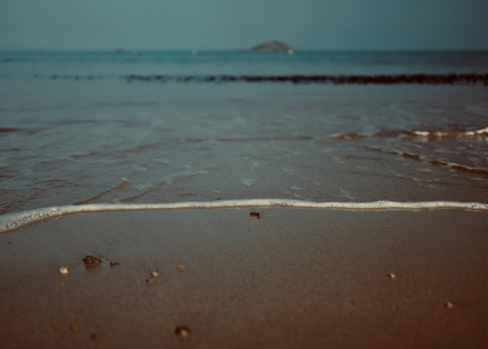 (鲅鱼圈教育网)，鲅鱼圈教育网登录入口