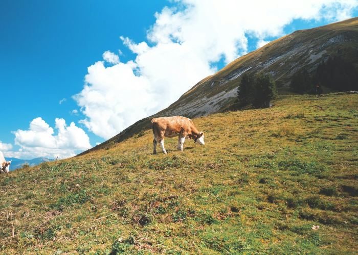 (中国行业资讯网)，中国行业咨询网