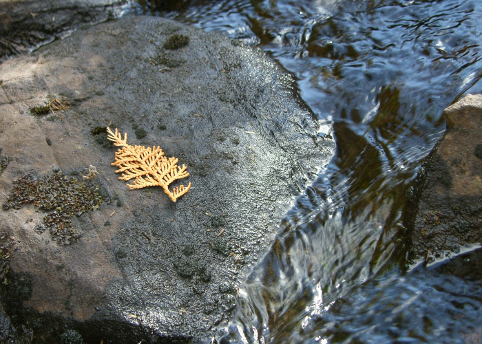 🌥️ 辽宁新增8例本土无症状,辽宁新增8例本土无症状感染者
