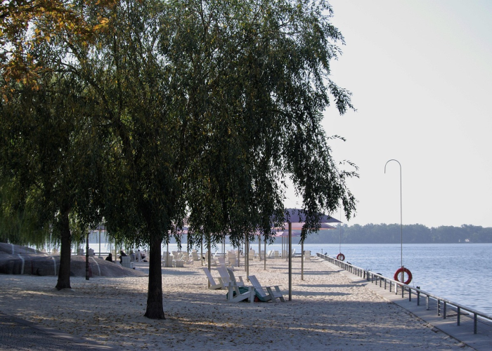 河南肺炎疫情,河南肺炎疫情最新数据