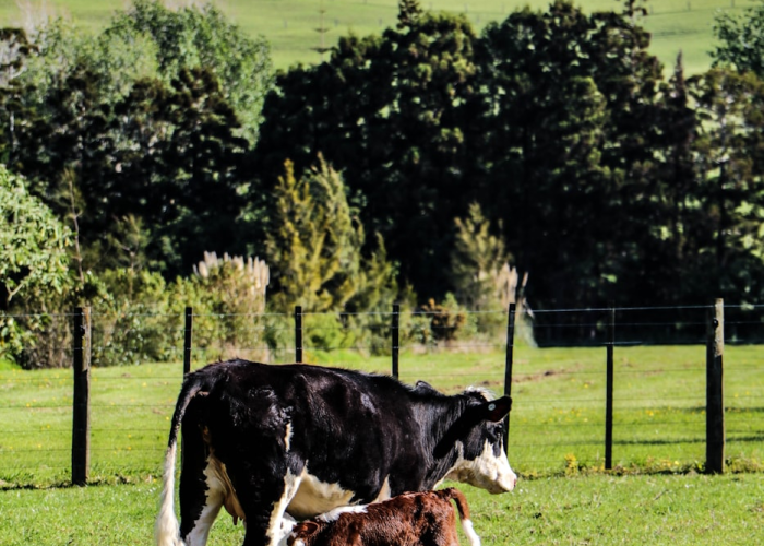 浙江新增44例本土确诊浙江新增4例肺炎