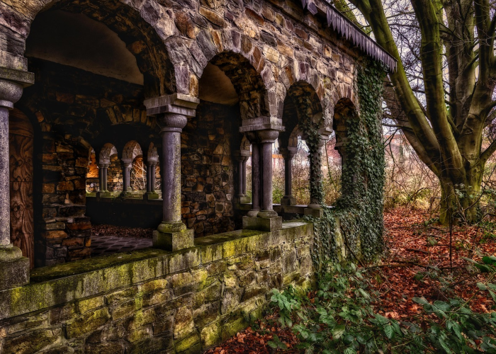 【虎皮丝足鱼哪里钓,普高录取最低控制线什么意思】