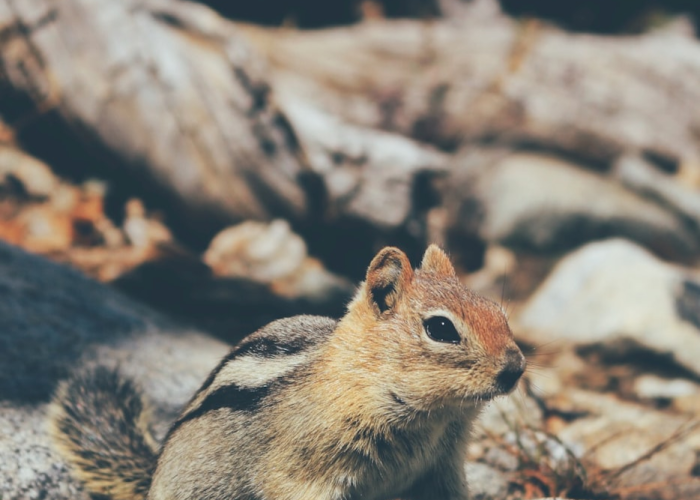 三十例新增背后的城市脉搏：疫情中的生命纽带与制度温度