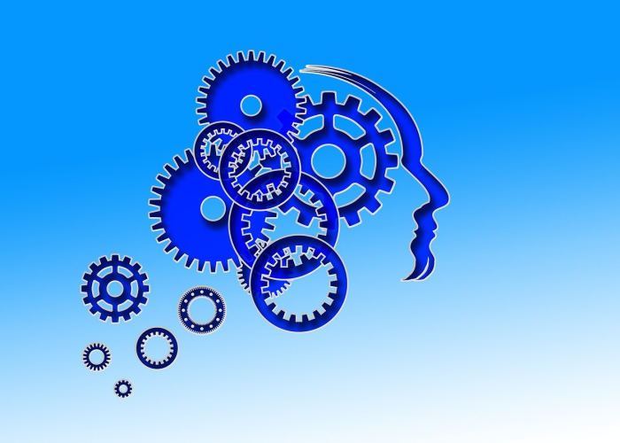 7人旅行团的全城轨迹，一座古都的防疫韧性