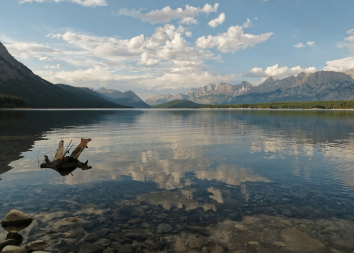 《而是全球公共卫生的压力测试》、这不是演习、猴痘病毒威胁全球？专家警告