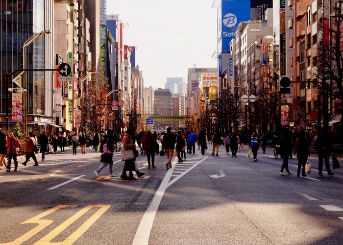 最强大脑金秀贤什么时候播，最强大脑金秀贤那期