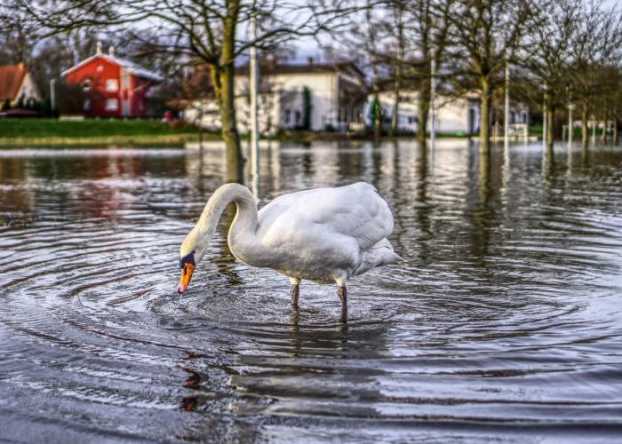 天津新增1例本土阳性感染者天津新增一例本土新冠肺炎确诊病例