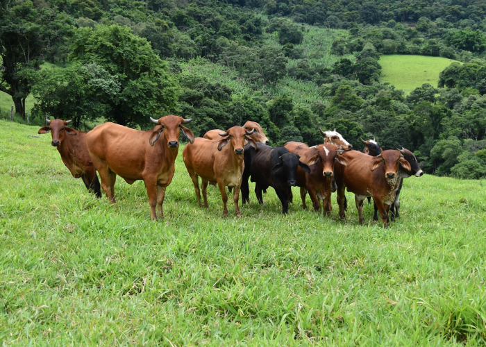 杭州新增无症状1例,杭州新增1例无症状感染者 新闻