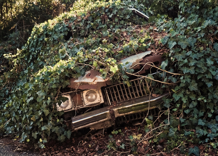 玫瑰小镇宝宝乐园，玫瑰小镇宝宝乐园在哪