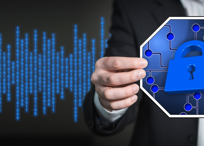 【elle内衣官网,ellehomme内裤怎么样】