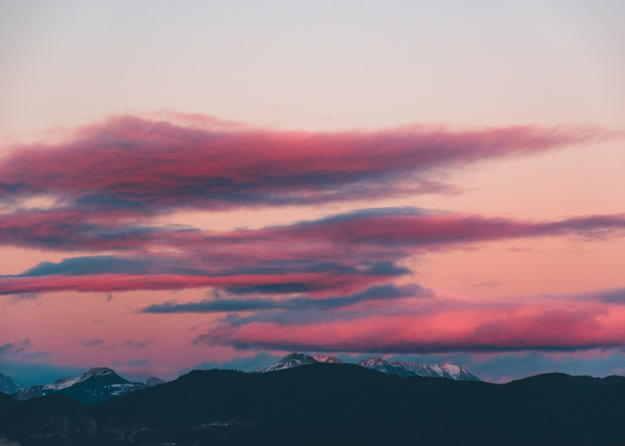 【万籁俱寂是什么生肖,万籁俱寂是代表什么生肖】