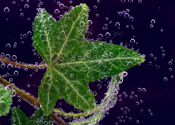 郑州本土病例零新增,解封时刻的暖光穿透疫情迷雾 郑州本土病例零新增,解封时刻的暖光穿透疫情迷雾