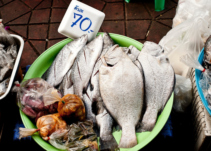 七双手与一座城：生命救援背后的文明天平