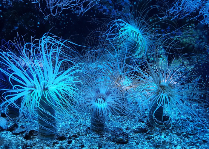 31省新增确诊1410例31省新增确诊22例含本土12例