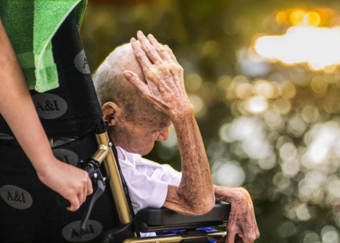 31省区市新增确诊33例含本土17例(31省区市新增本土确诊病例6例)